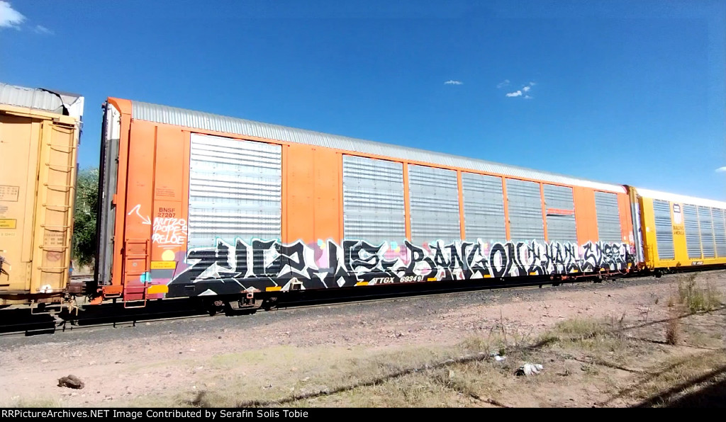 BNSF 27207 TTGX 693491 Con Grafiti 